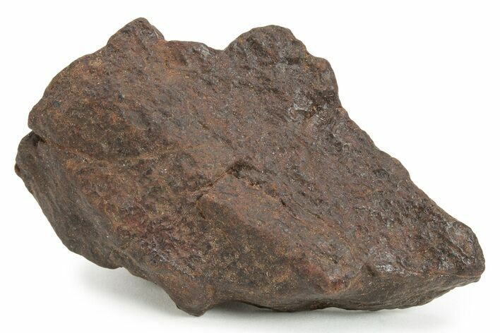 Chondrite Meteorite ( g) - Western Sahara Desert #232916